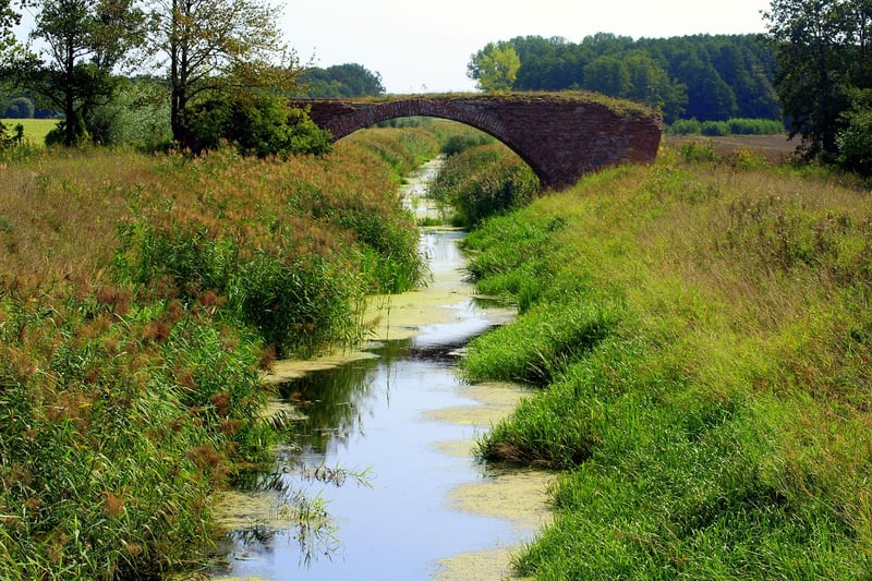 World War Trenches